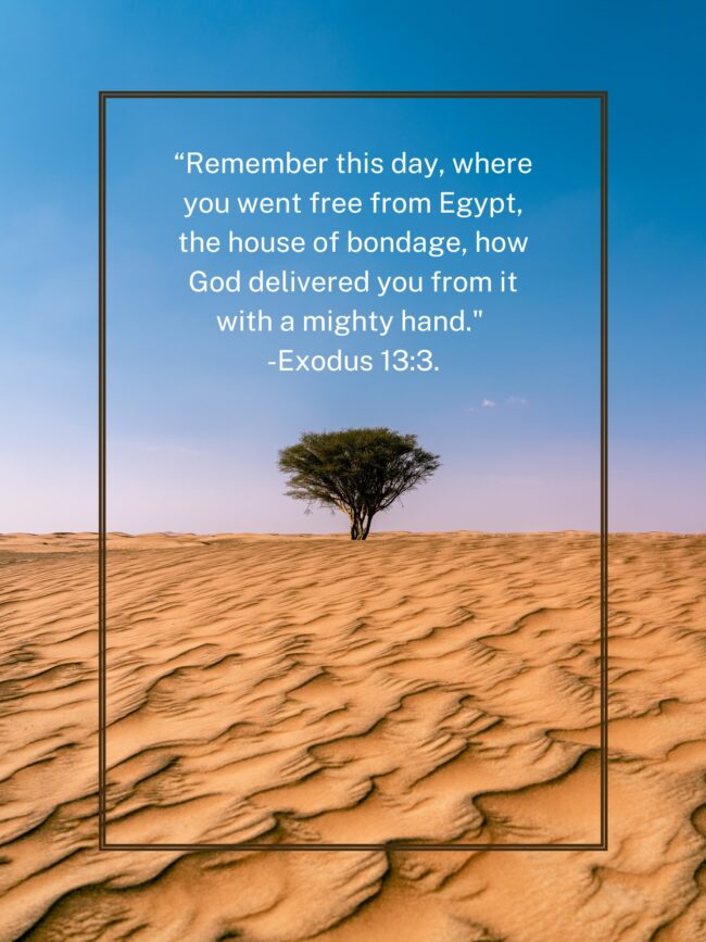 2023_Bible_Study_Exodus