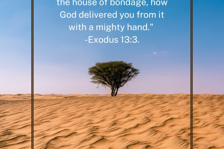 2023_Bible_Study_Exodus